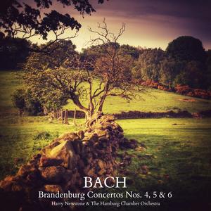 Brandenburg Concerto No. 5 in D Major, BWV. 1050: I. Allegro