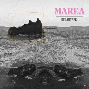 Marea