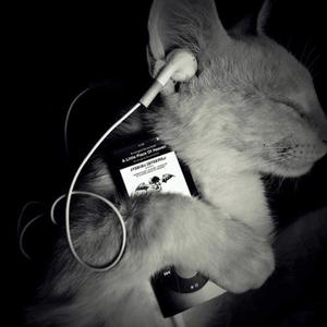 Stay (feat. Yung Frendi)