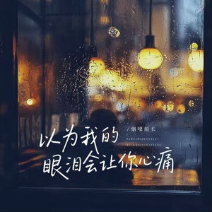 以为我的眼泪会让你心痛(DJ版)