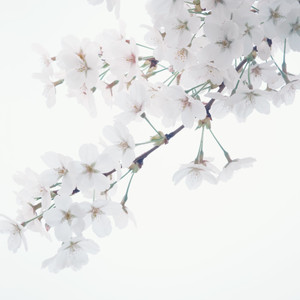 사랑인가요(Cover)live