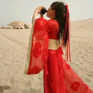 漠北恋 （琵琶弹奏）