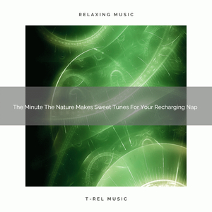 The Moment The City Creates Songs Only For Your Nap