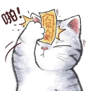 王贰浪-愿你余生漫长 FunkyHouse空灵鼓  DJ拾壹（十一 remix）