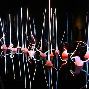 Alone and Untethered