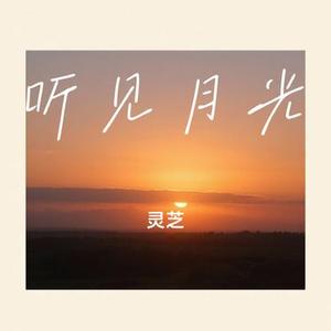 听见月光