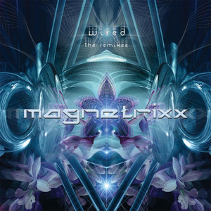 Probably (Symphonix Rmx)