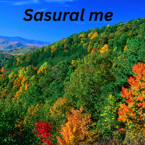 Sasural me