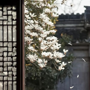 秦淮景（苏州评弹版）