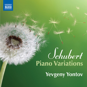 50 Variations on a Waltz by Diabelli: Variation 38, D. 718:50 Variations on a Waltz by Diabelli in C Minor: Variation 38, D. 718