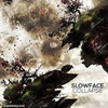 Slowface - Collapse (Rob Gasser Remix)