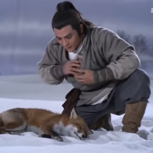 你是否在雪山救过一只狐狸