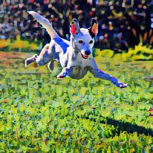 Whenever the beat dogs