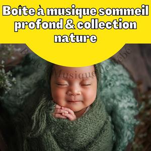 Boîte à musique pour bébé qui pleure, Nature rivage