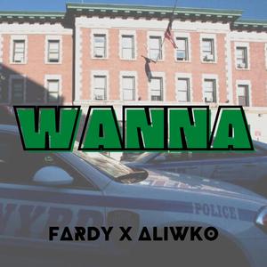 WANNA (feat. ALIWKO)