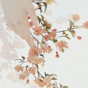 杨花落尽子规啼