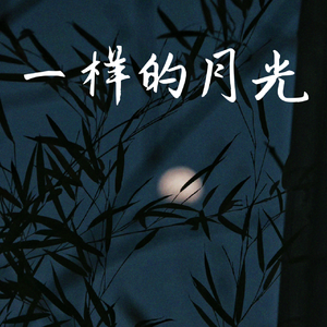 一样的月光