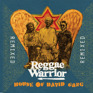 Reggae Warrior (Seed Organization Remix)
