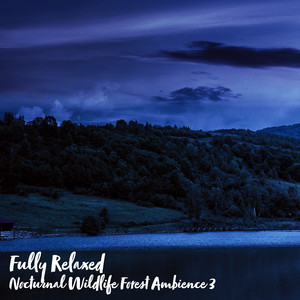 Nocturnal Wildlife Forest Ambience, Pt. 3