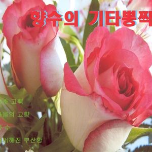 은혜냐 사랑이냐