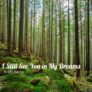 I Still See You In My Dreams