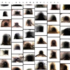 月光よ、あなたの魂を見せてください