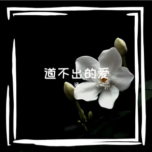道不出的爱