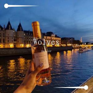 Selena Gomez-Wolves（Savior remix）