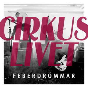 Feberdrömmar