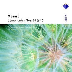 Symphony No. 40 in G Minor, K. 550:III. Menuetto. Allegretto