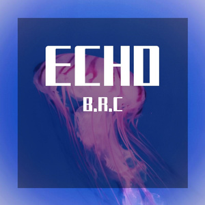 Echo