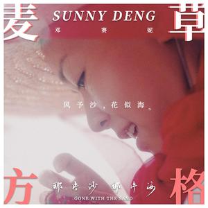 麦草方格（《那片沙那片海》电影主题曲）