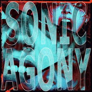 Audiotorture Eargasm