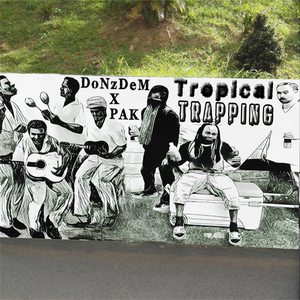 Tropical Trapping (by DoNzDeM)