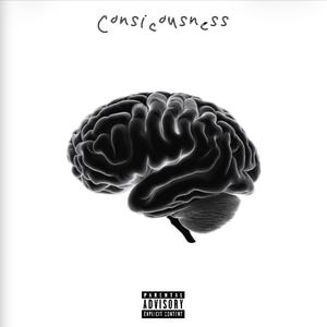 Consciousness