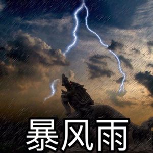 奉天组-暴风雨remix（Prod：奉天组）（韵如风YRRRRR remix）