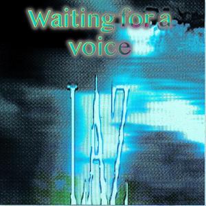 Waitinng For A Voice