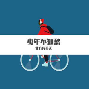 我不是你的宋冬野