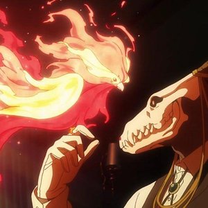 suicider year（0.8x）