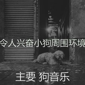 有趣可爱的狗情怀