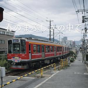 春のまぶしさの中で