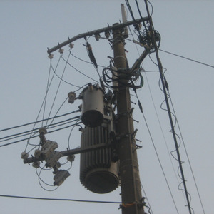 こうのとり、たちずさんで