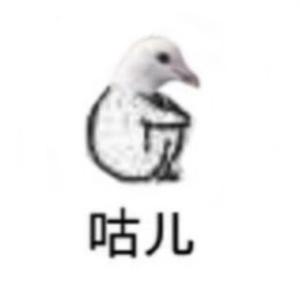 鸽子（翻自 洛天依）