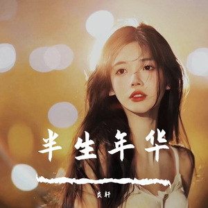 半生年华