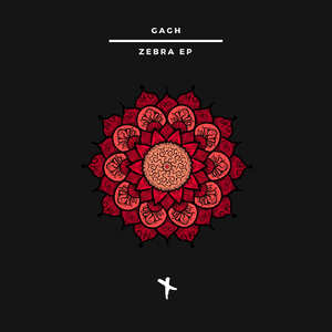 Bombo (Original Mix)