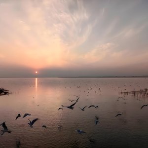 成都凤凰山的时光