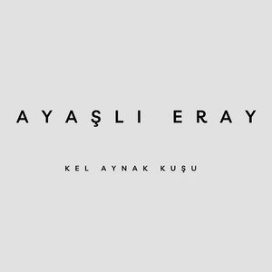 Kel Aynak Kuşu