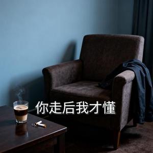 你走后 我才懂