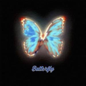 蝴蝶（Butterfly）