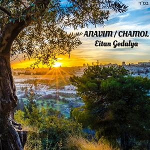 Anavim / Chamol (Acapella) (Acapella)